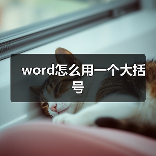 word怎么用一个大括号(图2) word怎么用一个大括号(图2)