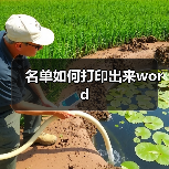 名单如何打印出来word（图4）