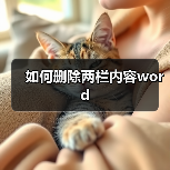如何删除两栏内容word（图4）