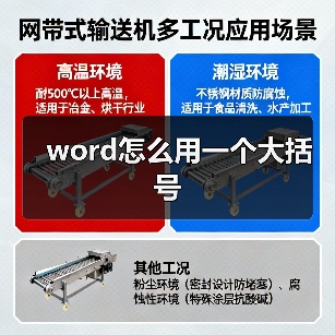word怎么用一个大括号(图4) word怎么用一个大括号(图4)