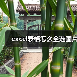 excel表格怎么全选图片（图2）