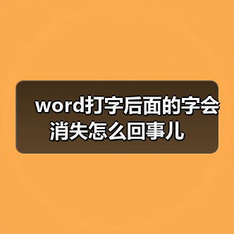 word打字后面的字会消失怎么回事儿(图2) word打字后面的字会消失怎么回事儿(图2)