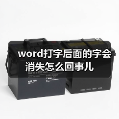 word打字后面的字会消失怎么回事儿(图3) word打字后面的字会消失怎么回事儿(图3)