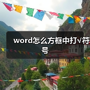 word怎么方框中打√符号（图3）