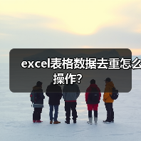 Excel去除重复数据操作步骤详解