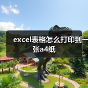 excel表格怎么打印到一张a4纸(图4) excel表格怎么打印到一张a4纸(图4)