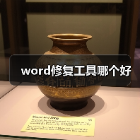 Word文档修复工具对比：内置与专业工具选择
