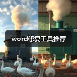 word修复工具推荐(图4) word修复工具推荐(图4)