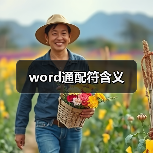 Word通配符含义详解：* ? [ ]用法及实例