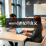 word通配符含义（图3）