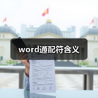 word通配符含义（图4）