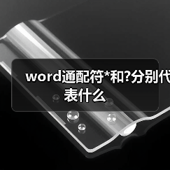 word通配符*和?分别代表什么(图2) word通配符*和?分别代表什么(图2)