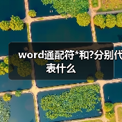 word通配符*和?分别代表什么(图3) word通配符*和?分别代表什么(图3)