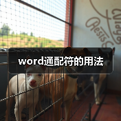 word通配符的用法(图2) word通配符的用法(图2)