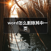 Word删除页面操作指南：快速删除特定页