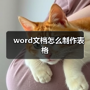 word文档怎么制作表格(图2) word文档怎么制作表格(图2)