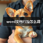 word文档行距怎么调(图2) word文档行距怎么调(图2)