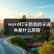 word打字后面的字消失是什么原因(图3) word打字后面的字消失是什么原因(图3)
