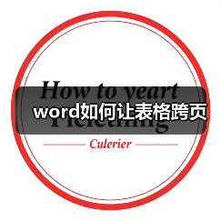 word如何让表格跨页(图4) word如何让表格跨页(图4)