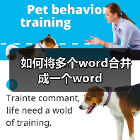 如何将多个word合并成一个word（图3）