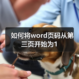 Word页码从第三页开始设置方法