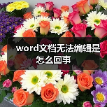 Word文档无法编辑的四大原因及解决方法