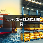 word如何自动检测重复（图2）