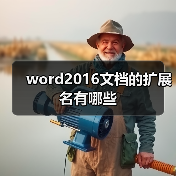 word2016文档的扩展名有哪些(图3) word2016文档的扩展名有哪些(图3)