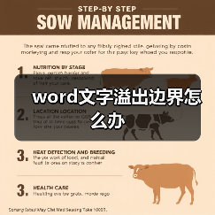 word文字溢出边界怎么办(图3) word文字溢出边界怎么办(图3)
