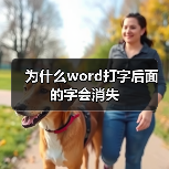 为什么word打字后面的字会消失(图3) 为什么word打字后面的字会消失(图3)