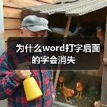 Word打字后文字消失原因及解决办法
