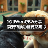 实用Word技巧分享:简繁转换功能竟然可以这样用!(图3) 实用Word技巧分享:简繁转换功能竟然可以这样用!(图3)