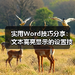 实用Word技巧分享:文本高亮显示的设置技巧(图3) 实用Word技巧分享:文本高亮显示的设置技巧(图3)
