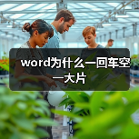word为什么一回车空一大片(图3) word为什么一回车空一大片(图3)