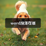 word段落在哪（图3）