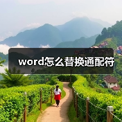 word怎么替换通配符(图4) word怎么替换通配符(图4)