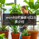 word分栏最多可以分多少栏(图2) word分栏最多可以分多少栏(图2)