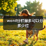 word分栏最多可以分多少栏(图3) word分栏最多可以分多少栏(图3)