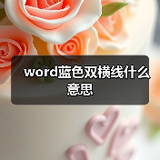 word蓝色双横线什么意思(图3) word蓝色双横线什么意思(图3)