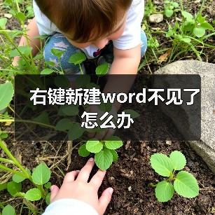 右键新建word不见了怎么办(图1) 右键新建word不见了怎么办(图1)