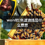 word红色波浪线是什么意思(图1) word红色波浪线是什么意思(图1)