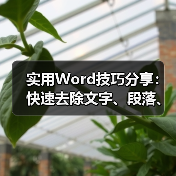 实用Word技巧分享:快速去除文字、段落、页面阴影!(图2) 实用Word技巧分享:快速去除文字、段落、页面阴影!(图2)