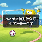 word文档为什么打一个字消失一个字（图3）