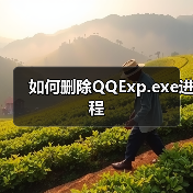 如何删除QQExp.exe进程(图1) 如何删除QQExp.exe进程(图1)