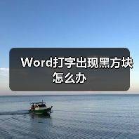 Word打字出现黑方块怎么办(图1) Word打字出现黑方块怎么办(图1)