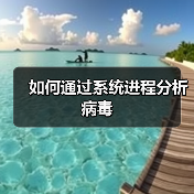 如何通过系统进程分析病毒（图2）