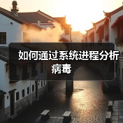 如何通过系统进程分析病毒（图4）