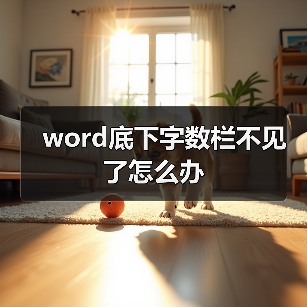 word底下字数栏不见了怎么办(图3) word底下字数栏不见了怎么办(图3)