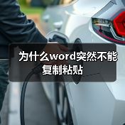 为什么word突然不能复制粘贴(图3) 为什么word突然不能复制粘贴(图3)