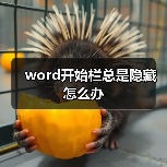 word开始栏总是隐藏怎么办(图3) word开始栏总是隐藏怎么办(图3)